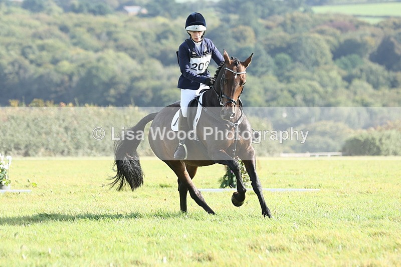 JPP_8007 - Class 2A: Trekenning Open: Dressage