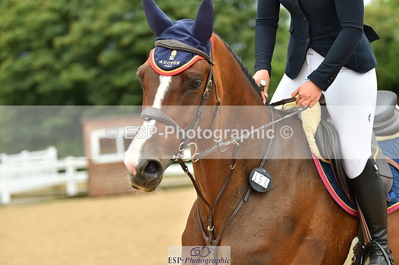 230720A-140626-03313 - Cls 21, 1 Star Gold 1.30m