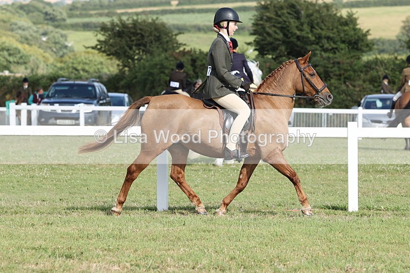 JPP_2883 - Class 20: Working Hunter 70cm