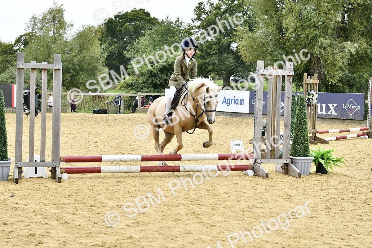 SBM_65392 - J2a mini Tour Junior Pony 30cm Championship