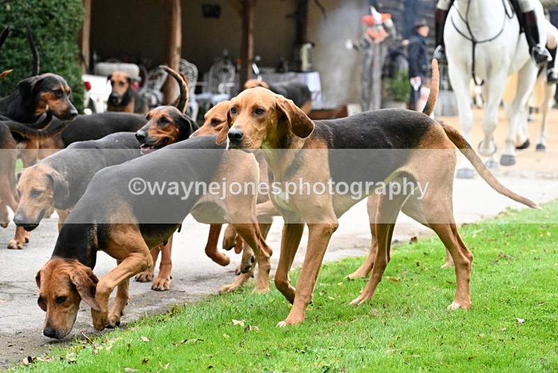 WJ7_6288 - Berks & Bucks - Children's Meet - The Old Farmhouse – Steventon.
