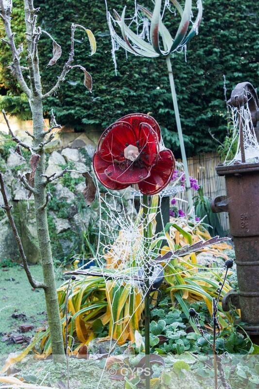 Frost by Mick Graystone 1 - Wildlife And Nature