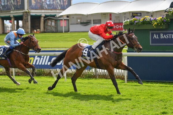 yr22052021r4-31 - Race 4 3.50pm WilliamHill.com Best Odds Guaranteed Stakes