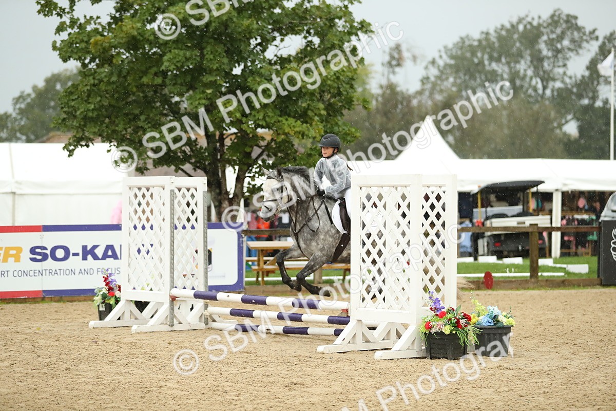 SBM_34292 - J60 Clear Round 50cm