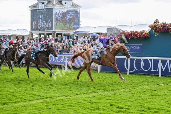 230824-Race 6-Angelo Buonarroti-9894 - Race 6 4.45pm British Stallion Studs EBF Convivial Maiden Stakes