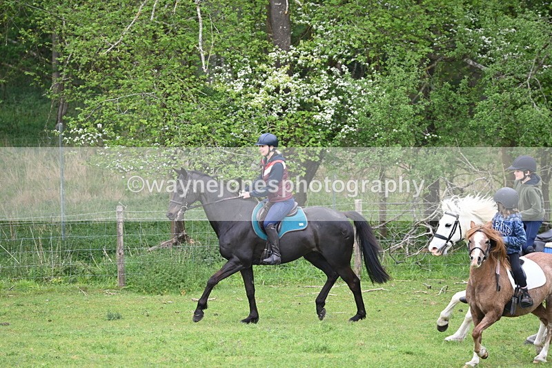 WJ6_2995 - A Camera