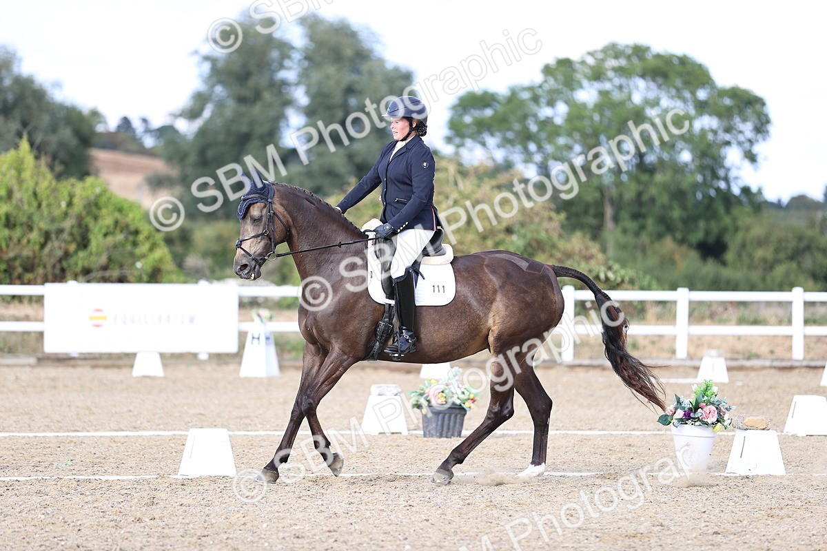 SBM_016116 - Class 5 - E5 Bronze  16.18.17.22
