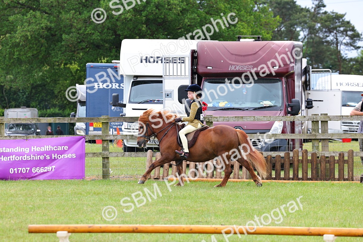SBM_08644 - Class 42-43 - LIHS BSPS Heritage Working Sports Pony