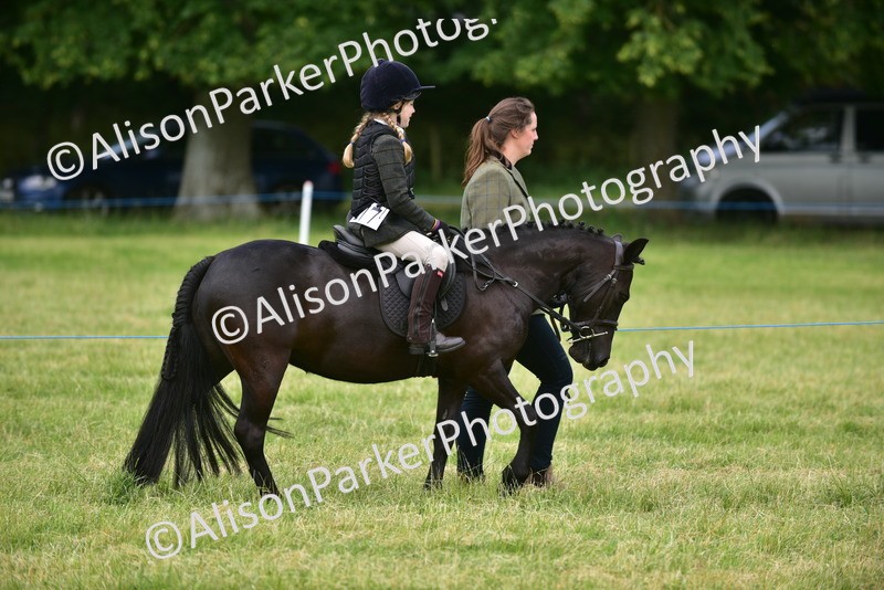 20260614-3628 - Class 15 - Prettiest Mare