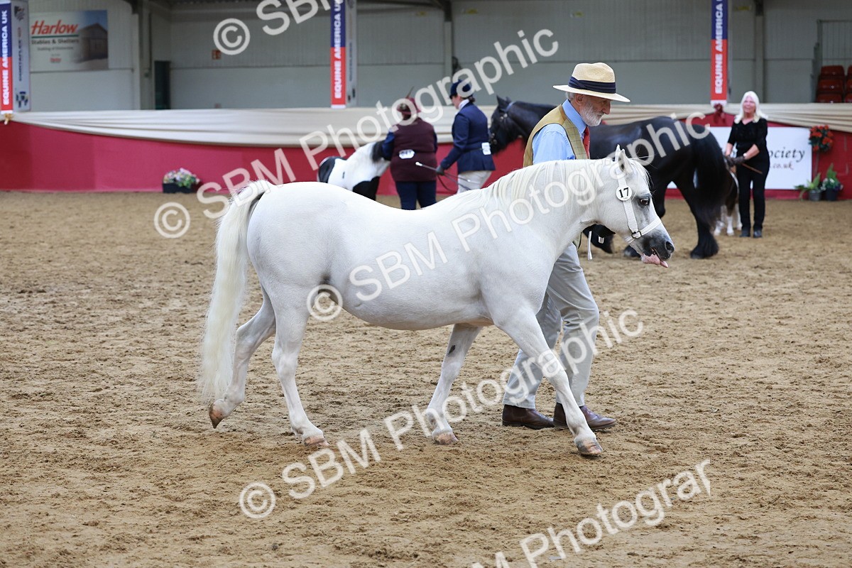 SBM_17360 - Class 951 - M&M IH Supreme Final