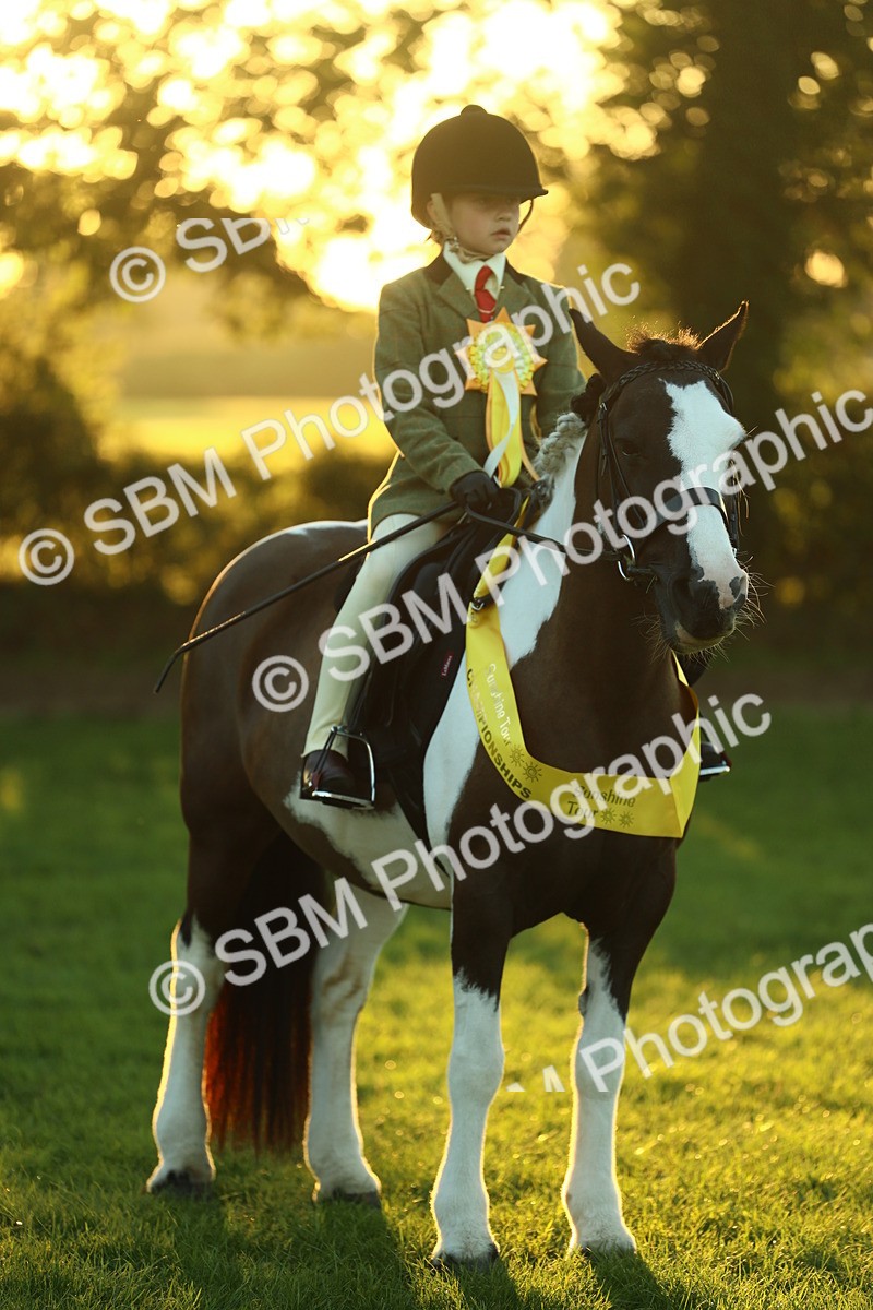 SBM_56624 - Fun & Versatile Supreme Championship