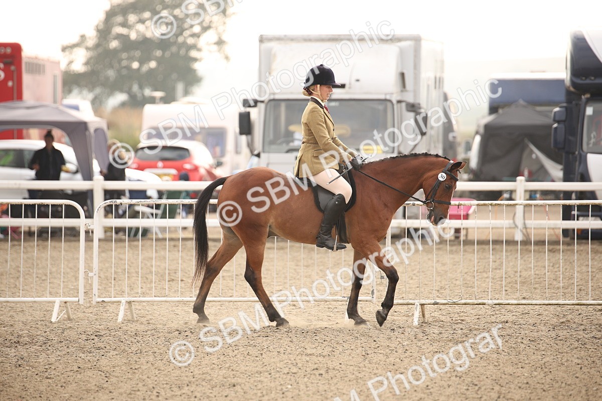 SBM_09813 - Class 401 Riding Club Pony