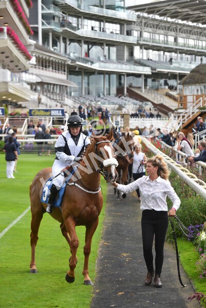 yr24092021r1-57 - Race 1 1.10pm Ernest Cooper Macmillan Ride of Their Lives