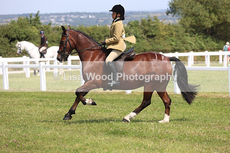 JPP_3266 - Class 22: Working Hunter 70cm