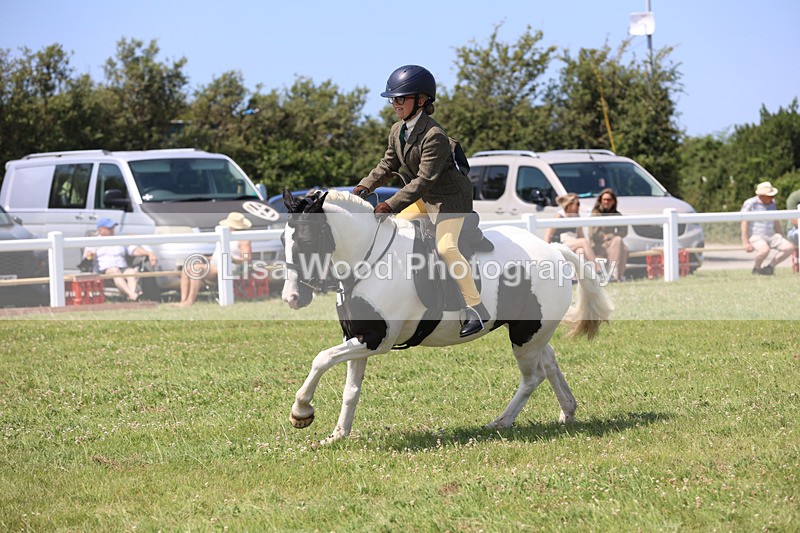 JPP_3084 - Class 22: Working Hunter 70cm