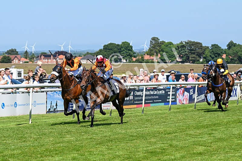 250624-Race 4-Lincoln Rockstar-5629 - Race 4