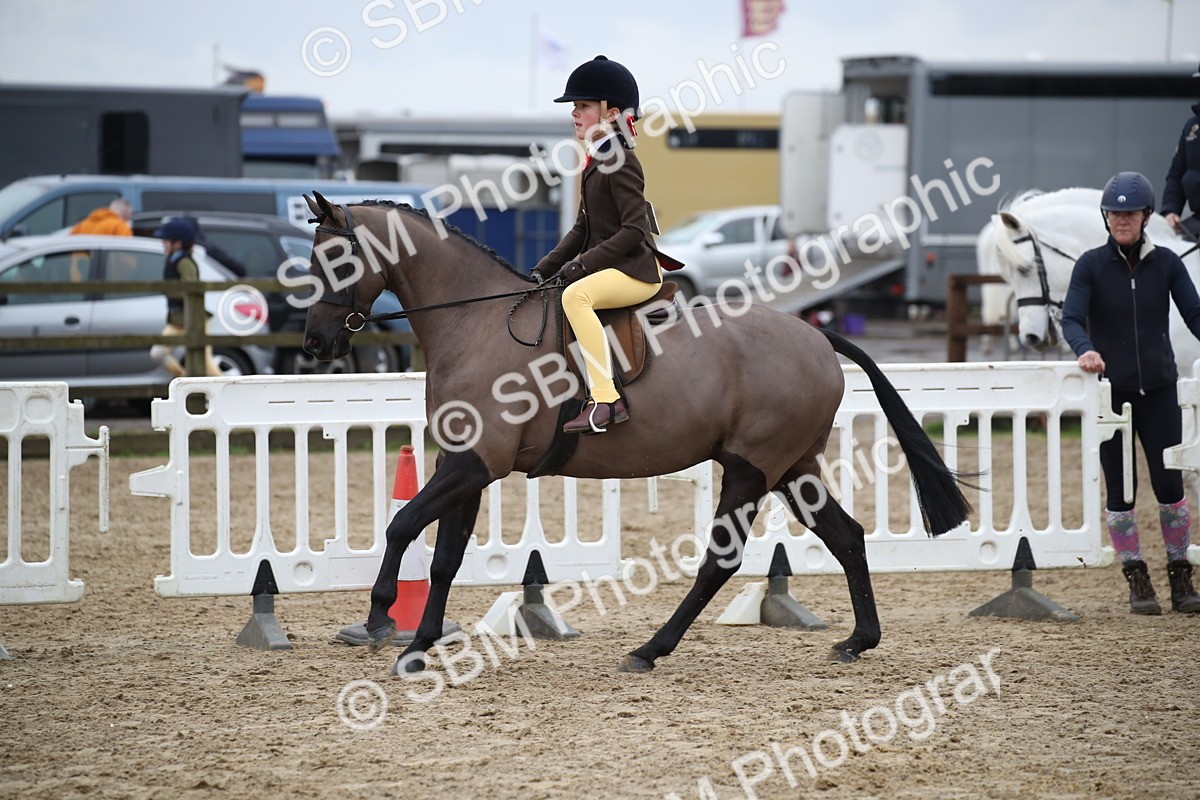 SBM_004612 - Class 5-9 - NPS In Hand-Show Hunter-Intermediate Ridden Inc Ridden Championship