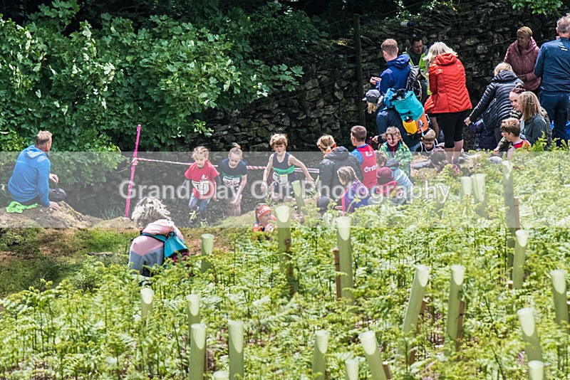 Coniston Juniors-5 - Coniston Gullies Junior Fell Races Sunday 25th May 2025