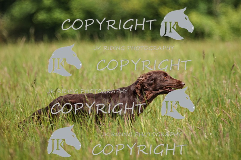 2R6A8165 - 1 Sylvia