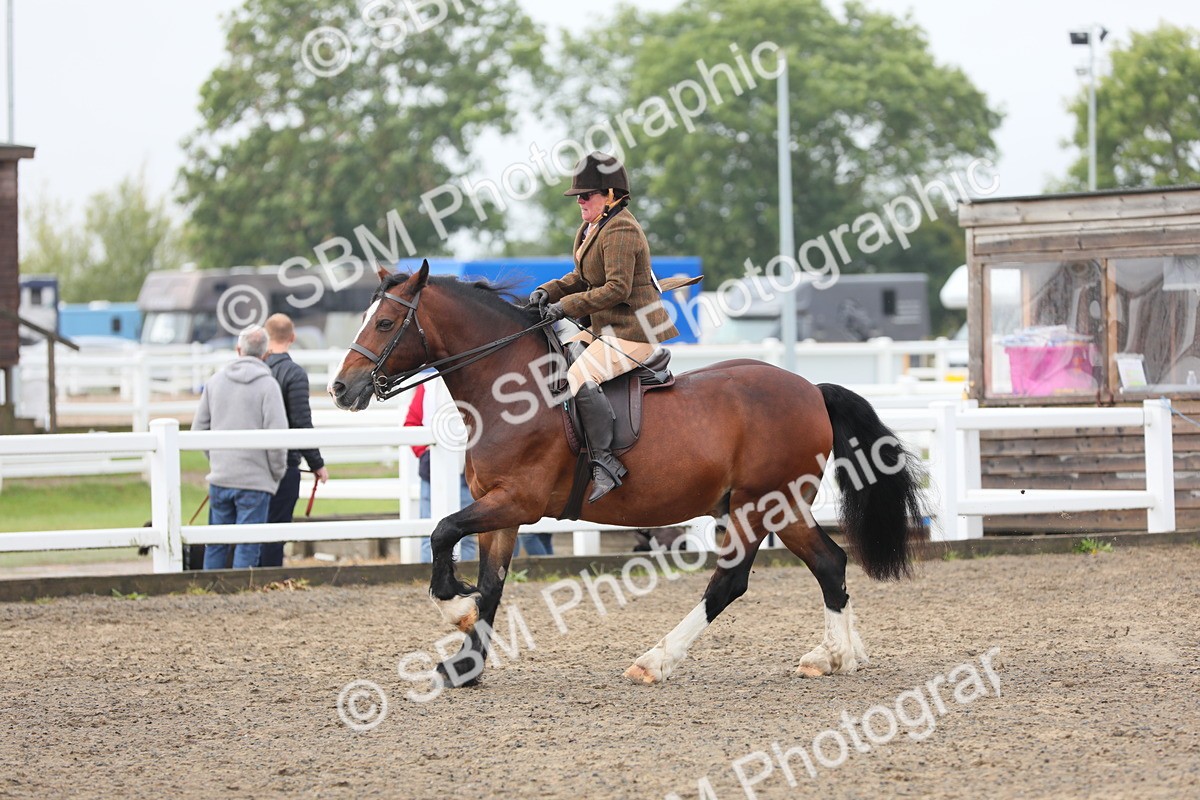 SBM_21378 - Class 805 - Ridden Veteran Horse