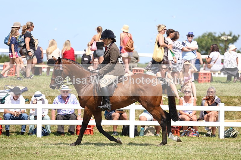 3E7A9354 - Class 12: Open Racehorse to Show Horse