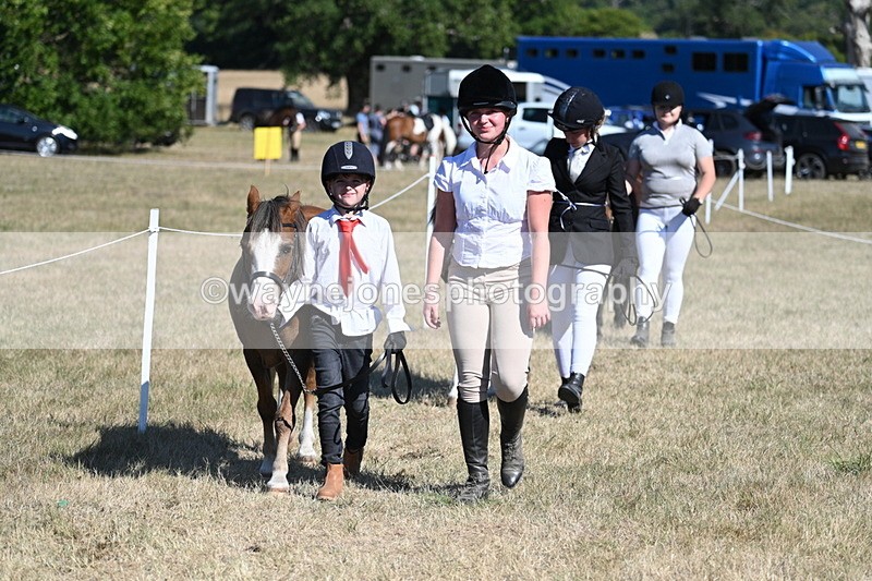 WJ7_1844 - Class 43 Best Six Legs (In hand)