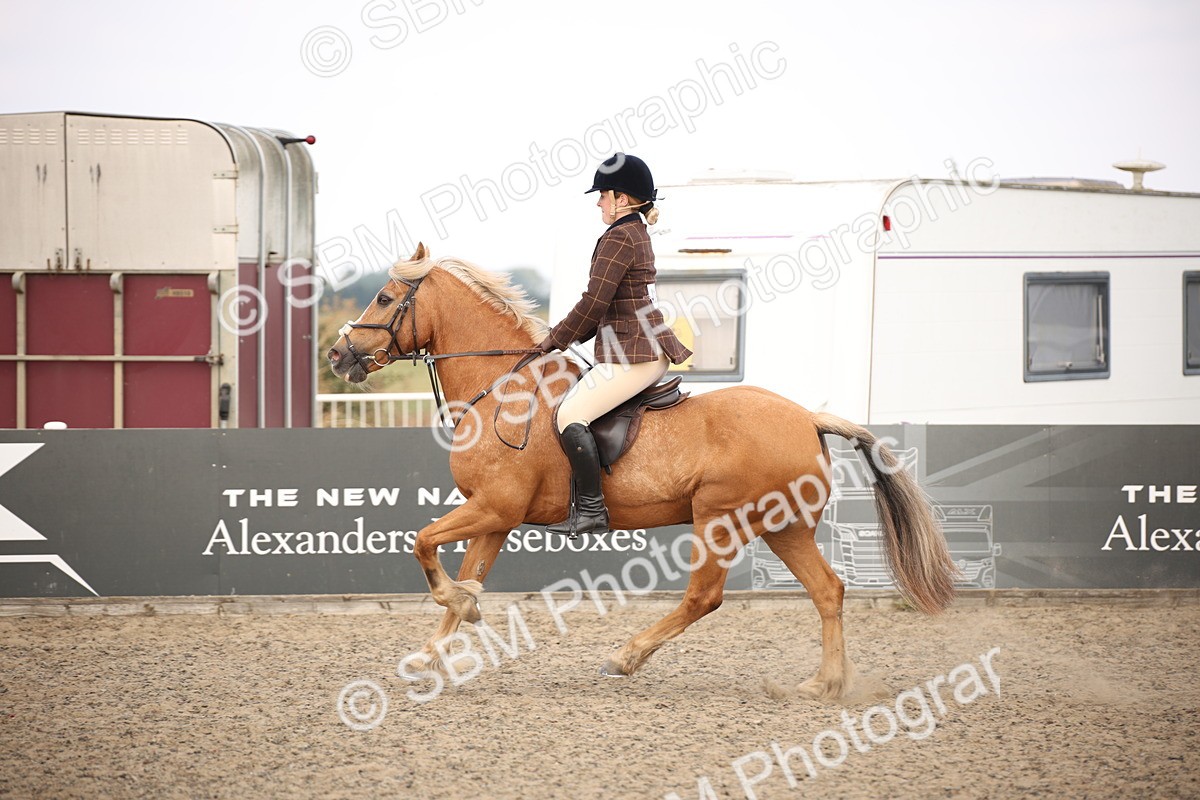 SBM_15989 - Class 408b - Working Veteran 70cm (20+)