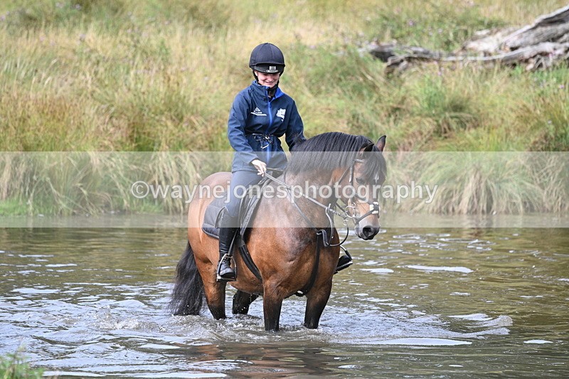 WJ7_1083 - Time at Water 10:09 to 10:47