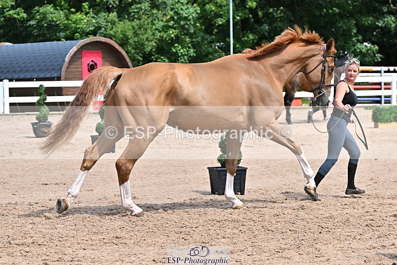 240718A-105251-01238 - Trot Up 12pm to 1pm