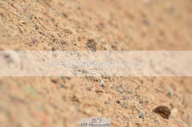 230415A-142420-02385 - Cls 13 + 7 Elementary 44