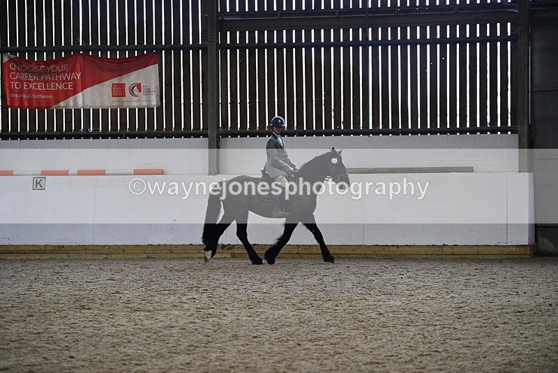 WJ5_7892 - Class 13 Ridden Part Breed