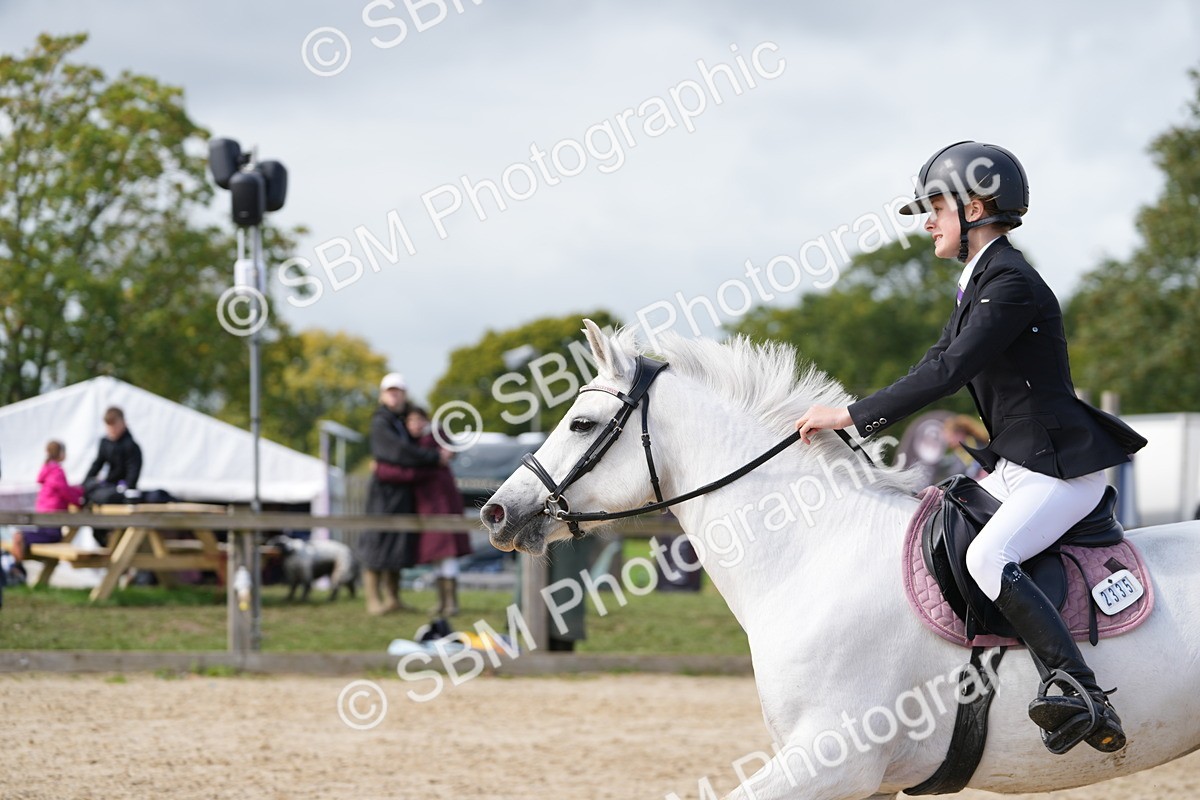 SBM_40801 - Supreme Championship Pony 50-55cm