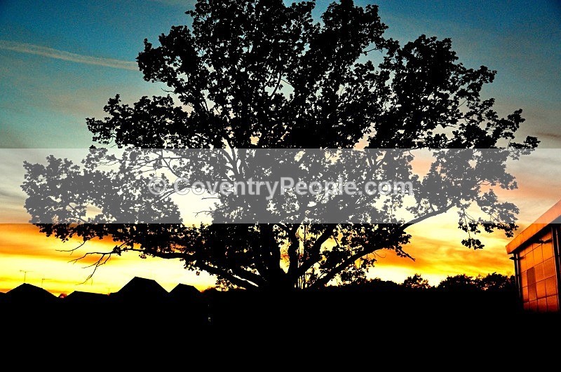  - Miscellaneous