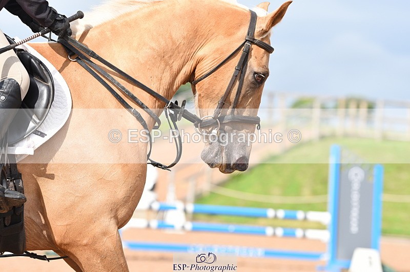 230711A-174128-00321 - 80cm