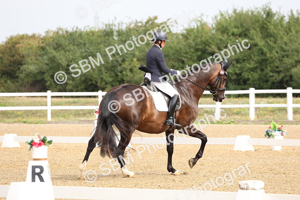 SBM_005505 - Class 6 - Novice 6 - 9.30-10.12