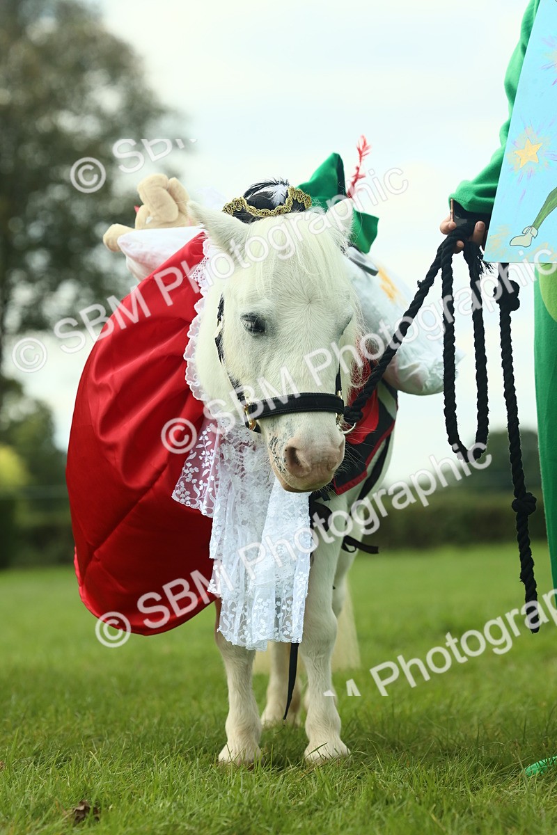 SBM_63612 - S35 - Fancy Dress Showing