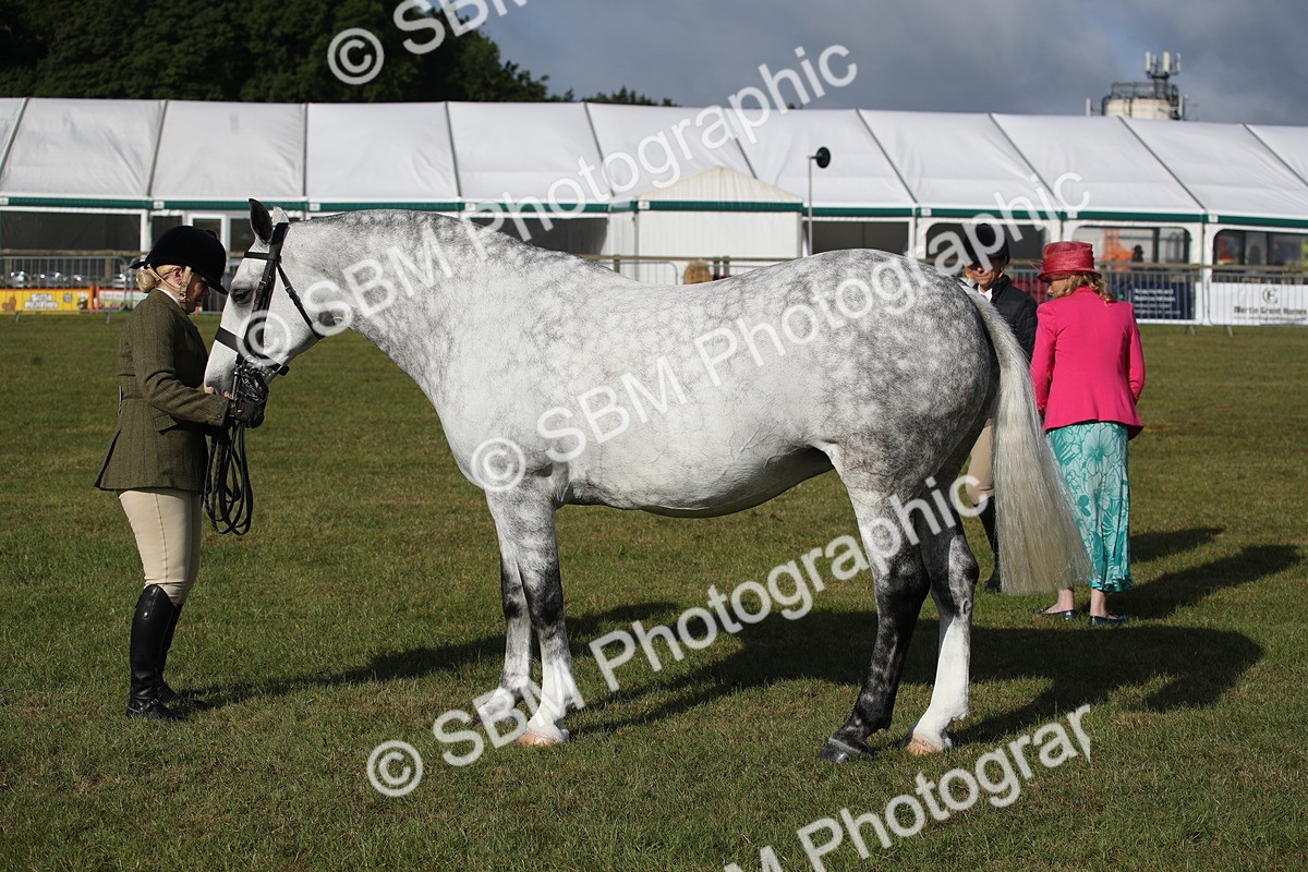 SBM_11125 - Class 92-93 - LIHS BSHA Rising Star Cobs