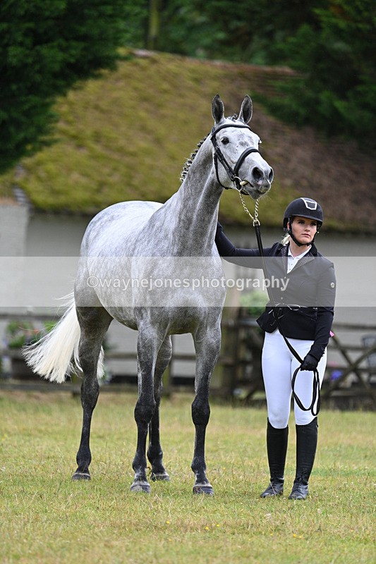 WJ7_6145 - Class 4a Prettiest Mare over 14hh