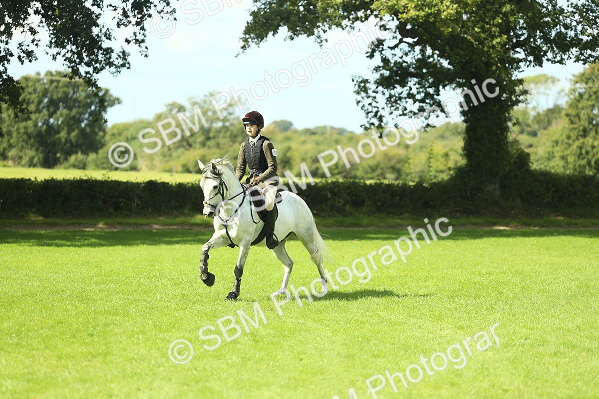 SBM_42951 - S30 - M&M Working hunter Pony