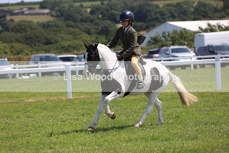 JPP_3087 - Class 22: Working Hunter 70cm