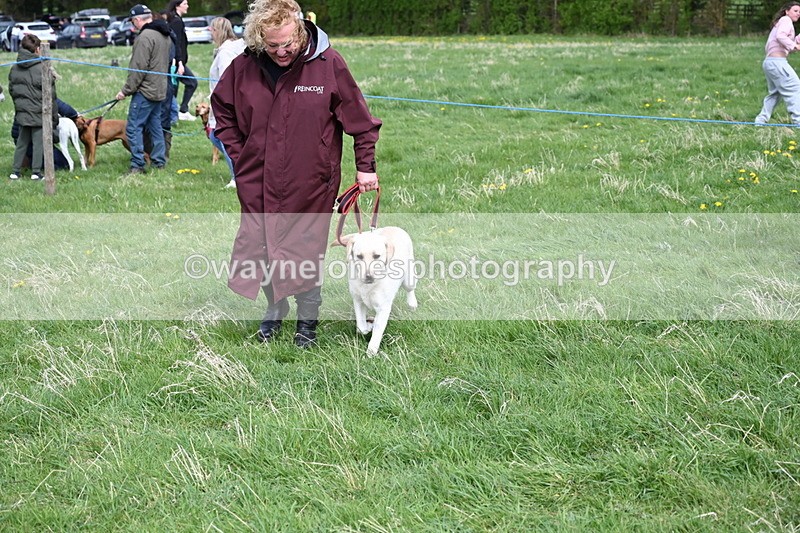 WJ6_8352 - Class 4 Prettiest Bitch