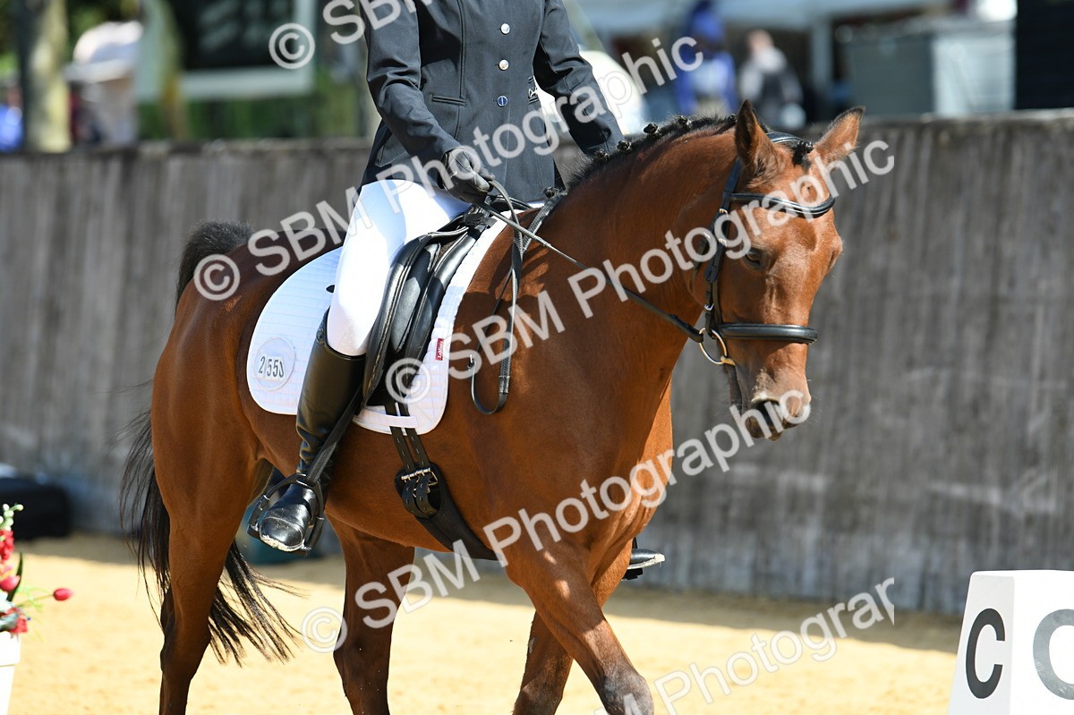 SBM_20749 - D13 - Grand Tour Championship - Prelim 12