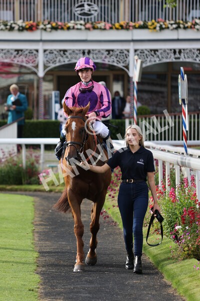 yr23072021r2-35 - Race 2 6.30pm IRE-Incentive It Pays To Buy Irish Stakes