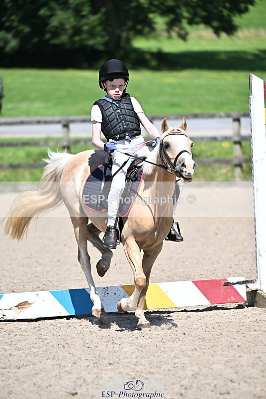 240729B-114228-02497 - Showjumping Competition