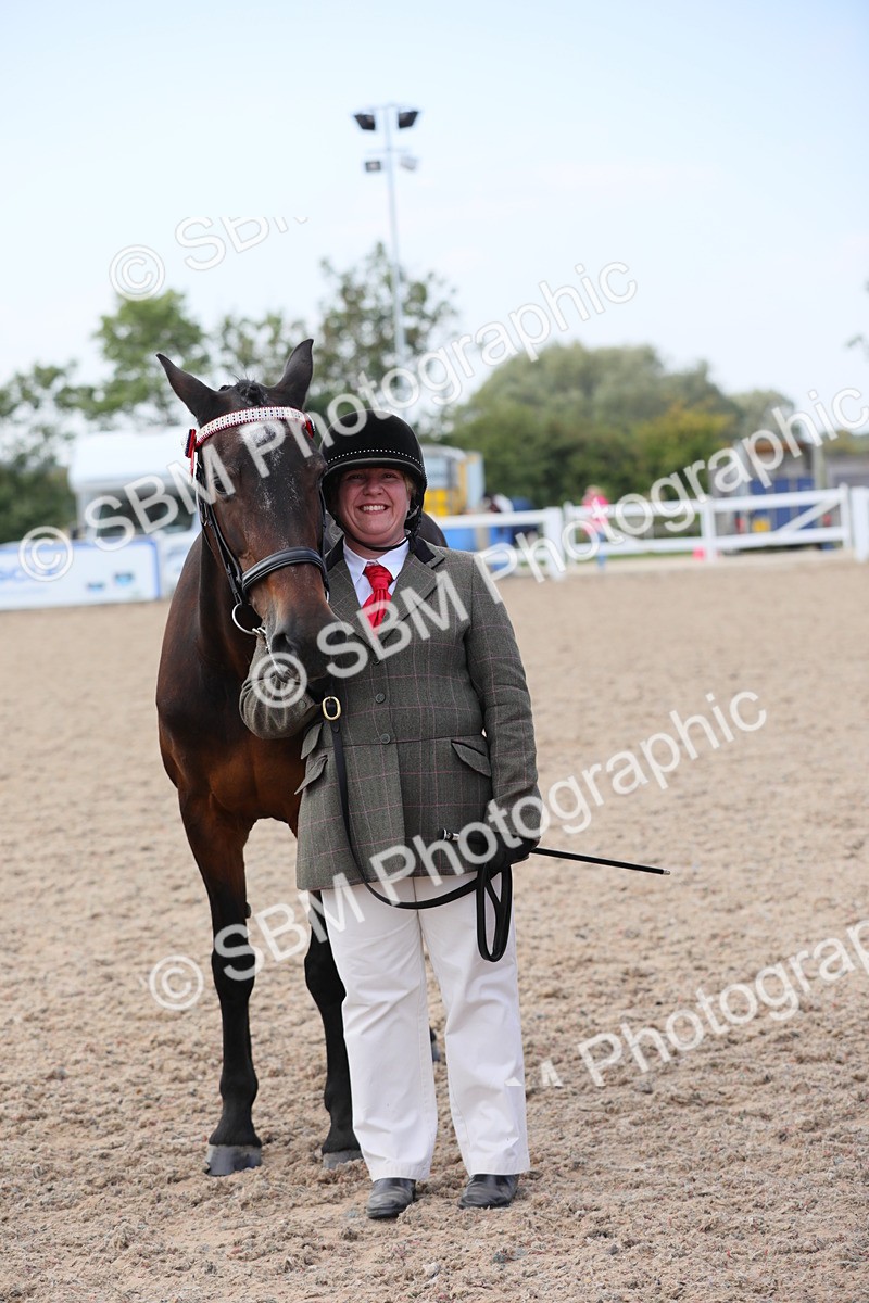 SBM_15884 - Class 312 IH Competition Horse/Pony