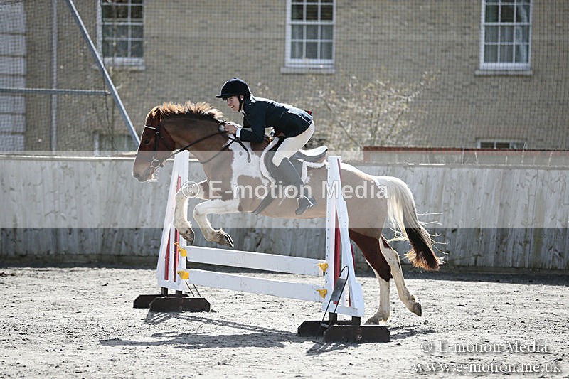 BVRC SJ 170319 307 - Bourne Valley Riding Club Showjumping 17/03/19