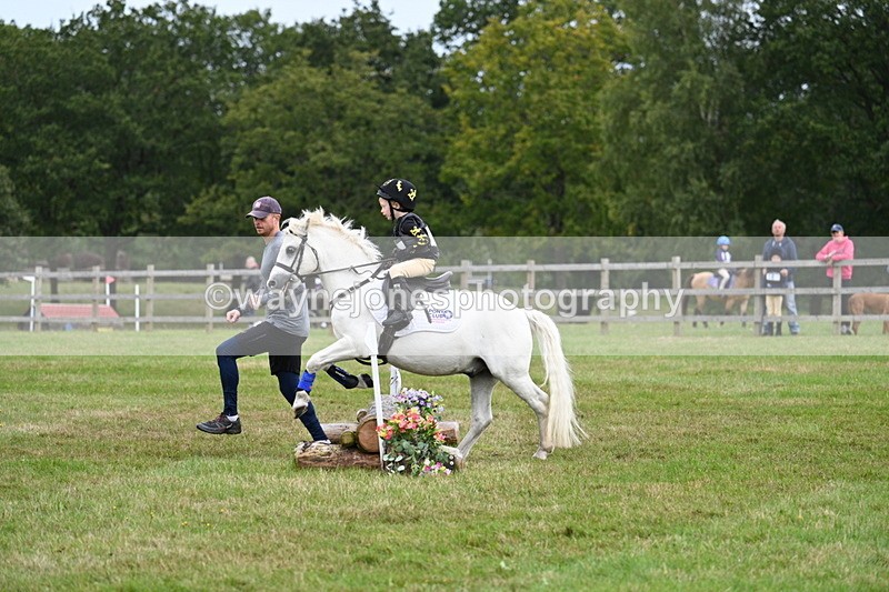WJ7_7236 - 40cm Time 10:06 to 10:24