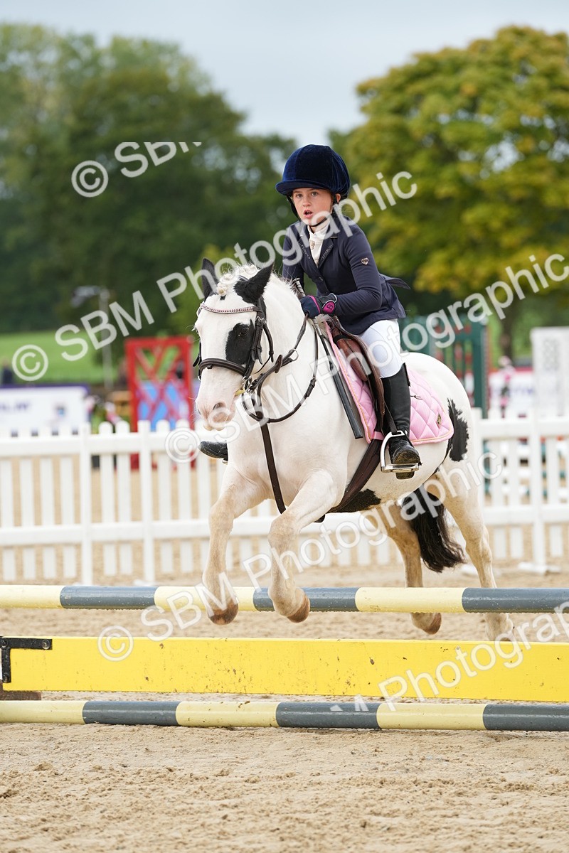 SBM_32472 - J5 - Junior Pony 50cm Championship