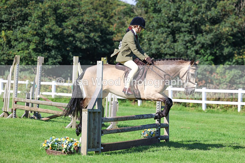 3E7A7742 - Class 2: Open Working Hunter pony