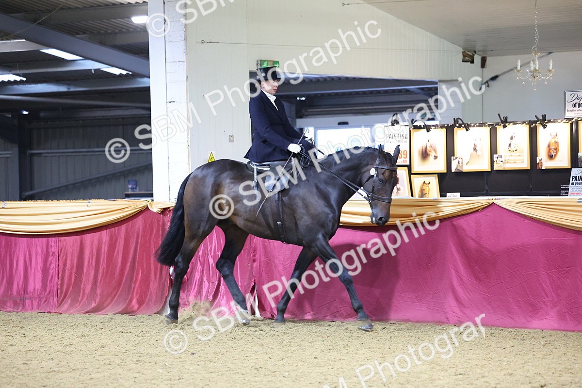 SBM_19290 - Class K Equitation Champ
